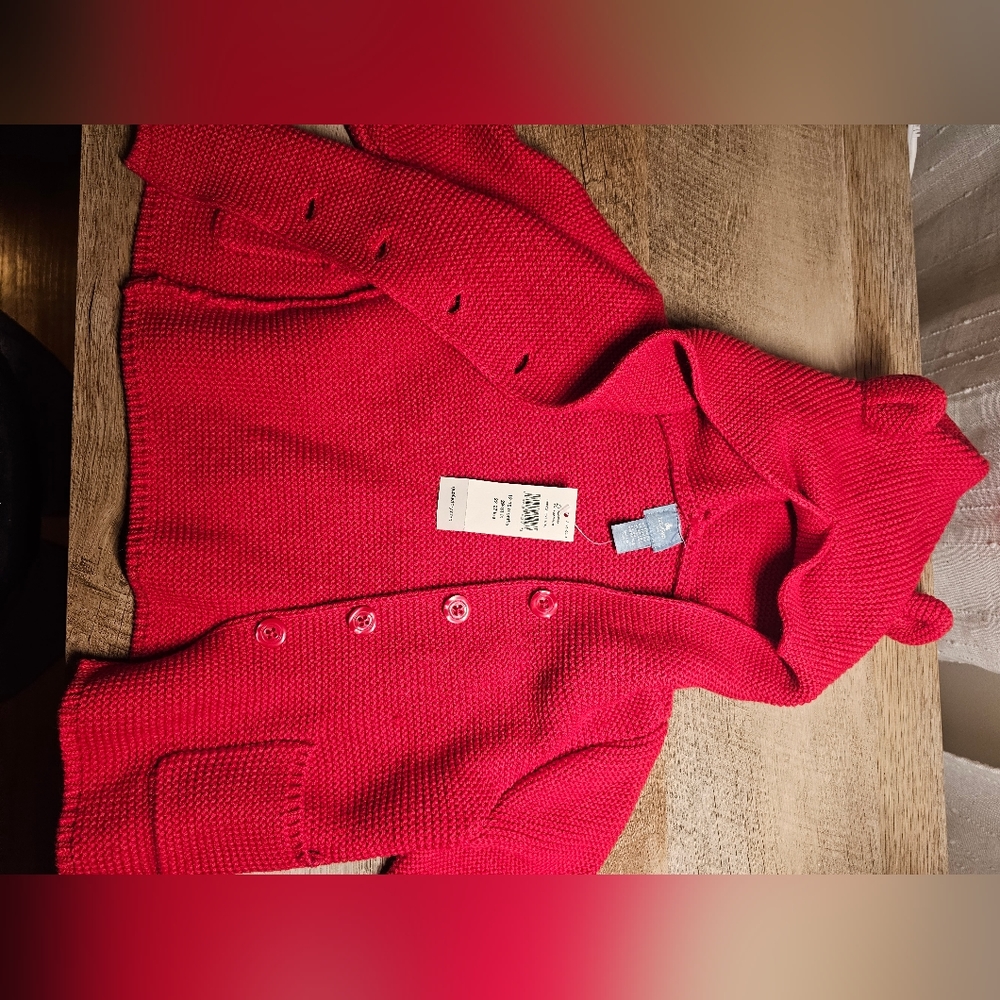 RED GAP SWEATER